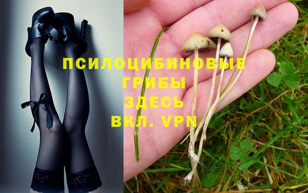 круглые Аша