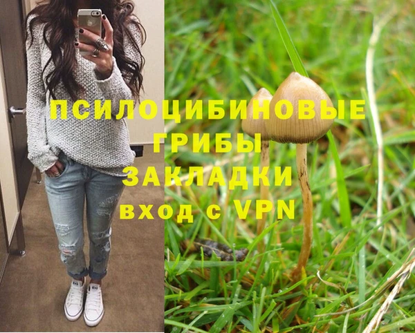 соль курить ск Надым