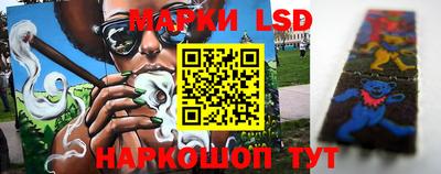 ГАЛЛЮЦИНОГЕННЫЕ ГРИБЫ Заволжье