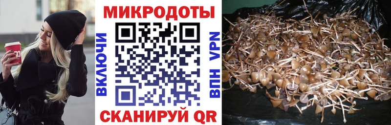 Галлюциногенные грибы Magic Shrooms  Отрадное 