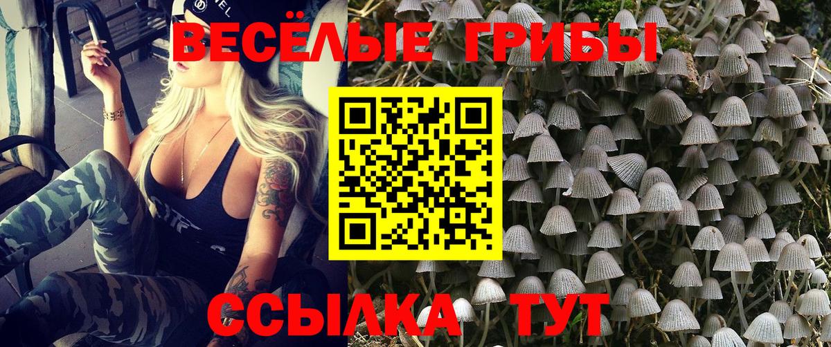 Отрадное  Псилоцибиновые грибы GOLDEN TEACHER  Вход с VPN 