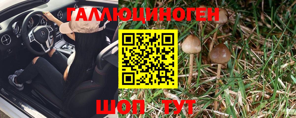 Псилоцибиновые грибы Magic Shrooms Отрадное